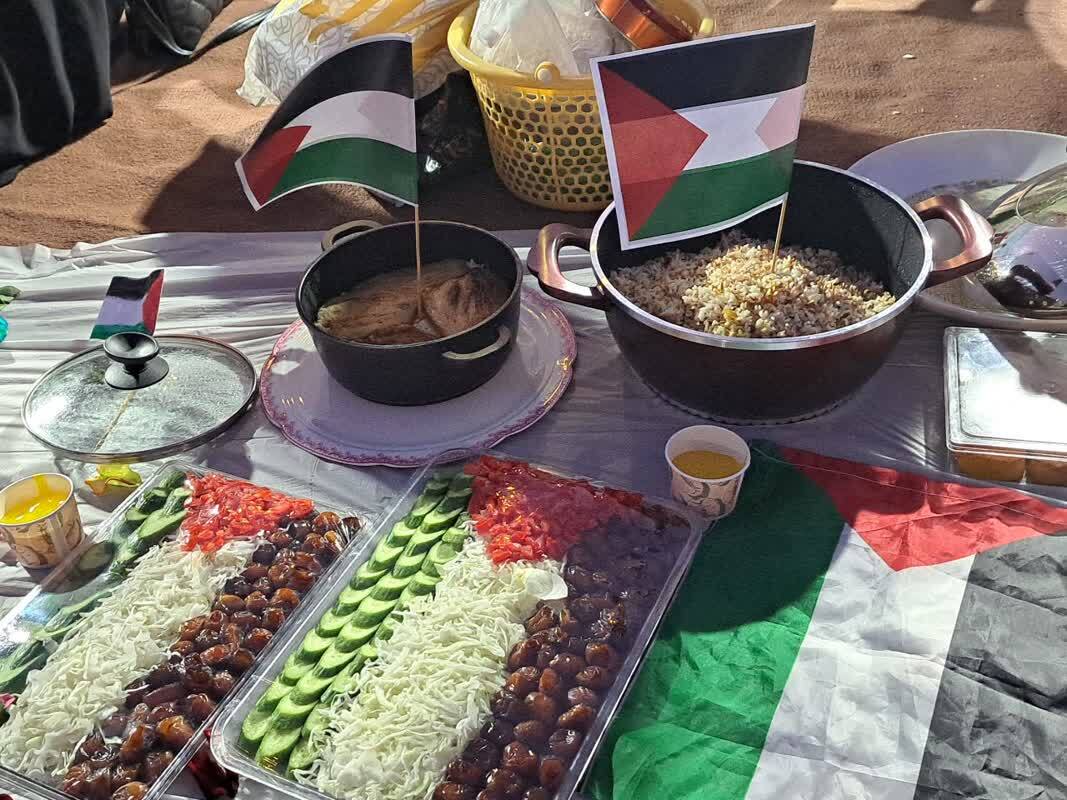 پویش پخت مقلوبه در بوشهر برگزار شد پویش پخت مقلوبه در بوشهر برگزار شد