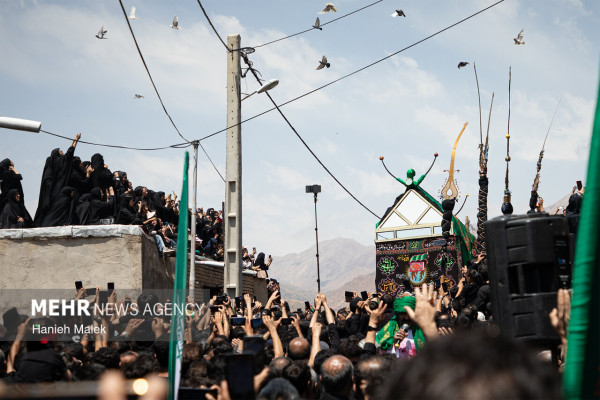 مراسم نخل‌گردانی عاشورای حسینی در مجن